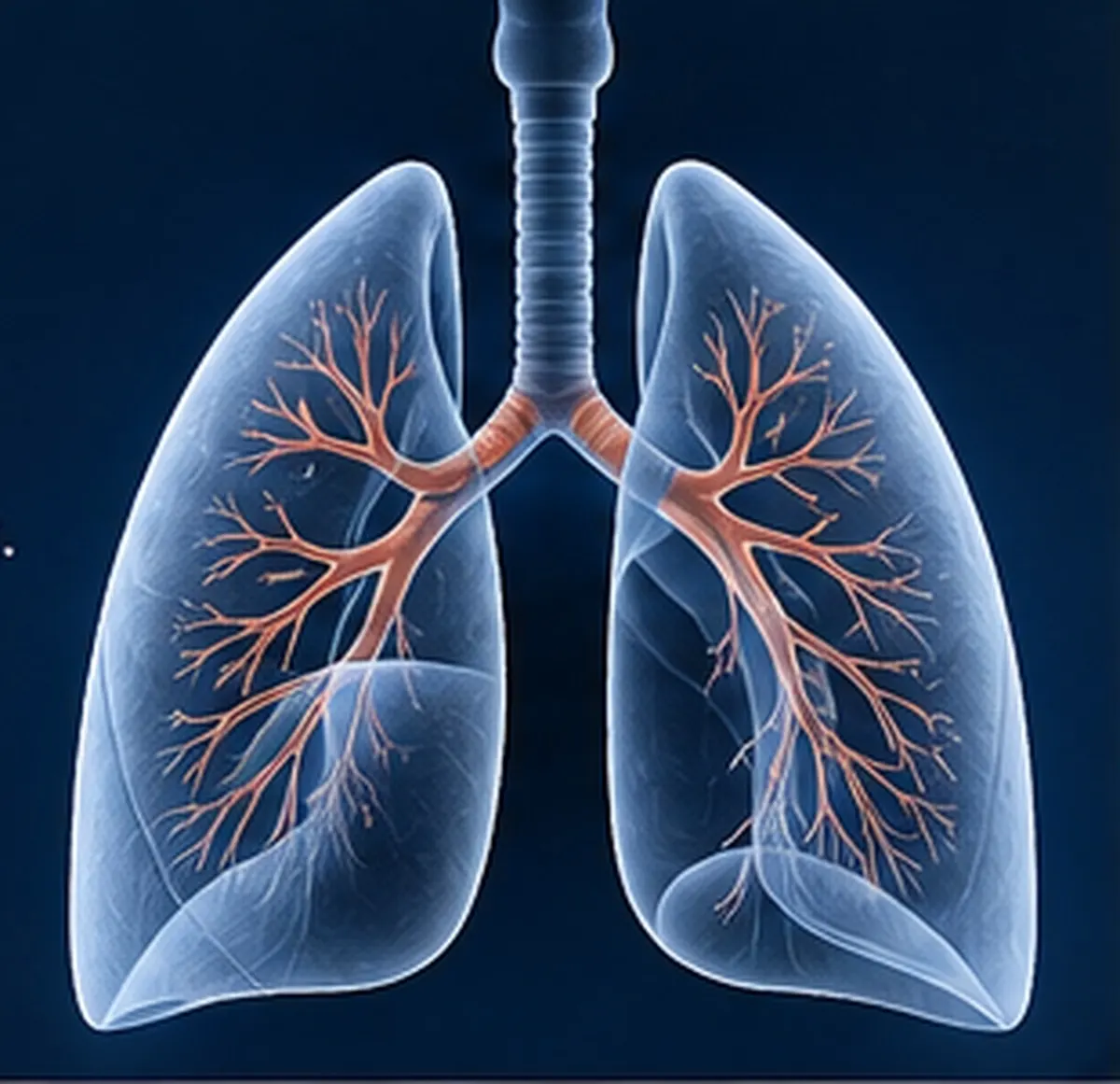 Diagram of the airways showing where bronchoscopy, EBUS, radial EBUS and thoracoscopy reach