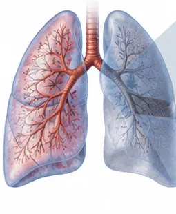 Illustration contrasting a healthy lung with a scarred, damaged lung